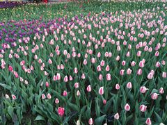 -长春公园(普阳街道)