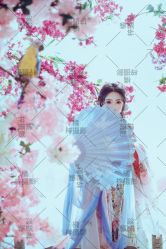 -梓摄影古装写真工作室(富力广场店)
