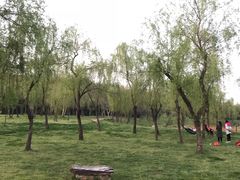 -蜀冈西峰生态公园