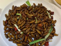 -金春禧(世茂国际广场店)