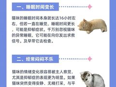 -lincat·猫舍(广州店)