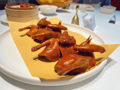 -红顶食府(滨湖九号店)