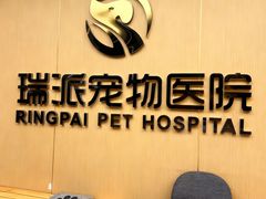 -瑞派康怡24h宠物医院·犬猫医疗中心·微创绝育(瑞景分院)