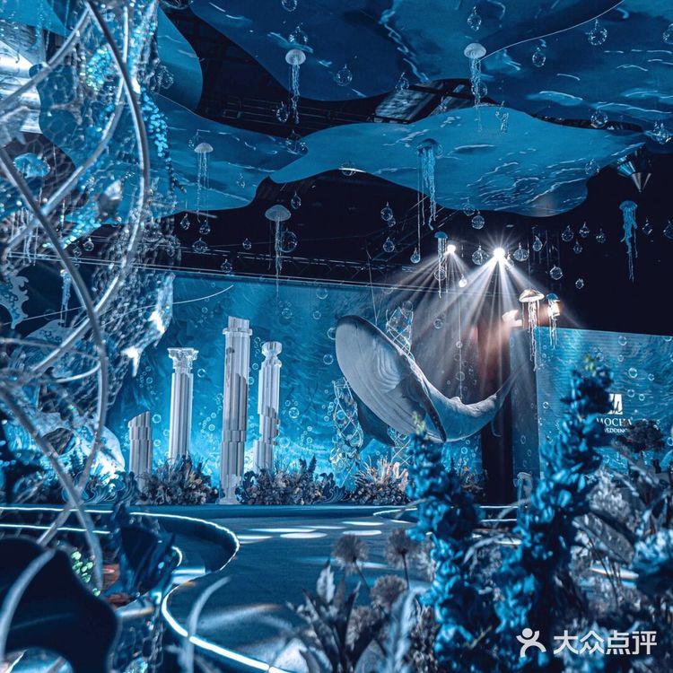 梦幻蓝色海洋风🌊在海底举办了一场婚礼