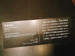 -东京国立博物馆