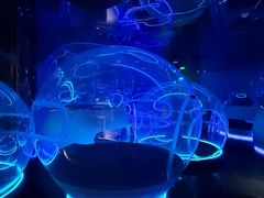 -水之梦(黄浦店)