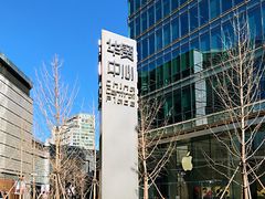 -Apple零售店(华贸购物中心店)
