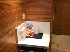 -新加坡乌节希尔顿酒店 (SG Clean)