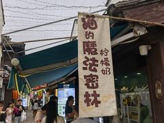 -猫的魔法密林(衣裳街店)