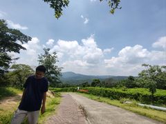 -中旅阿那亚九龙湖·公主酒店