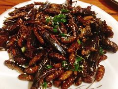 -乞丐酱驴(世纪大道店)