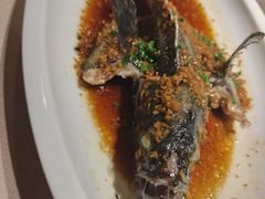 头抽特色蒸石斑-尚一汤·粤菜海鲜(环球港店)