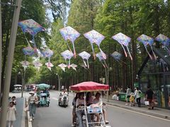 -日照海滨国家森林公园