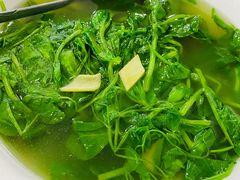 白水豌豆尖-东吴霸王兔(松青路店)
