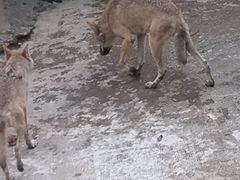 -南昌动物园