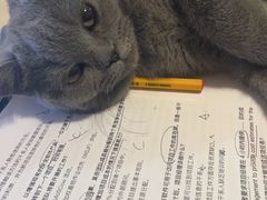 -美联众合24小时·皮肤科·外科·全科诊疗中心(华苑分院)