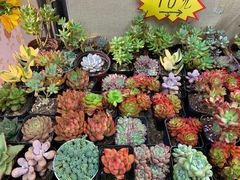 -三旗百汇商品城