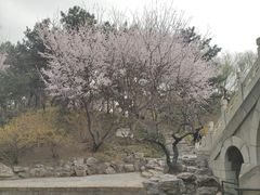 -团结湖公园