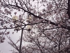 -同济大学(嘉定校区)