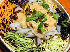 东北大拉皮-关东大厨老三熏鹅(新石店)