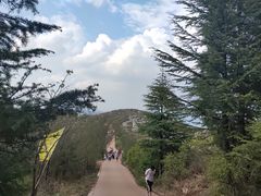 -长虫山生态公园风景林