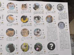 -喵屿·大理花园猫咖