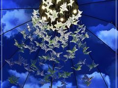 -钳小柒·小龙虾蓝龙王烧烤夜宵(长寿路店)