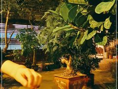 -一粥(华侨城创意文化园店)