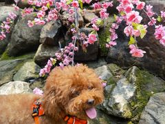 -湖洞水自然风景区