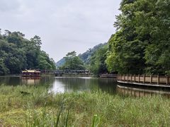 -青城山
