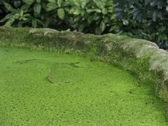 -成都市活水公园