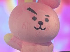 -line friends(明洞旗舰店)