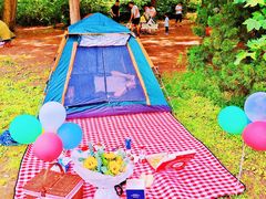 -上海共青森林公园