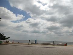 -日照海滨国家森林公园