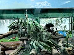 -广州动物园