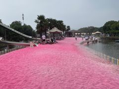 -苏州太湖西山岛开心农场