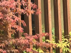 -昆山城市生态森林公园