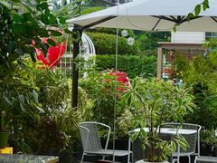 -花神·轻食简餐·咖啡馆·花卉绿植(荷兰花卉小镇店)