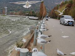 -海埂大坝