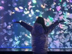 -海合安成都极地海洋公园