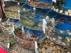 -海之味海鲜大咖·家常菜