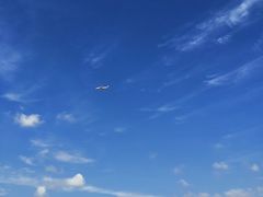 -南汇新城海滩