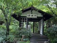 -中国茶叶博物馆(双峰馆区)