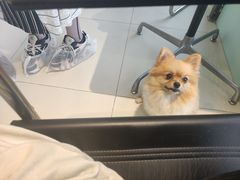 -怪兽屋·羊驼·猫咖·狗咖(俊华广场店)