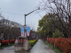 -高东镇樱花园