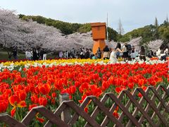 -苏州上方山国家森林公园