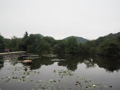 -白马涧龙池景区