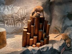 -Zoolung Zoolung动物主题公园(海信广场店)