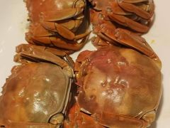 -黄记大闸蟹专卖店·活蟹·醉蟹