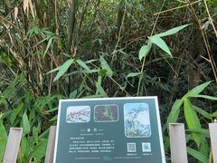 -福道